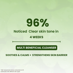 Cica - Peptide Intensive Face Wash