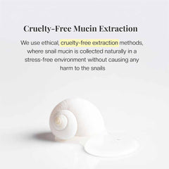 Snail Miin Recovery Essence