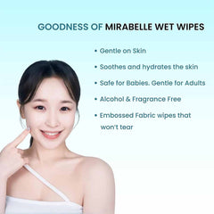 Makeup Remover Wet Wipes ( 100 Wipes )