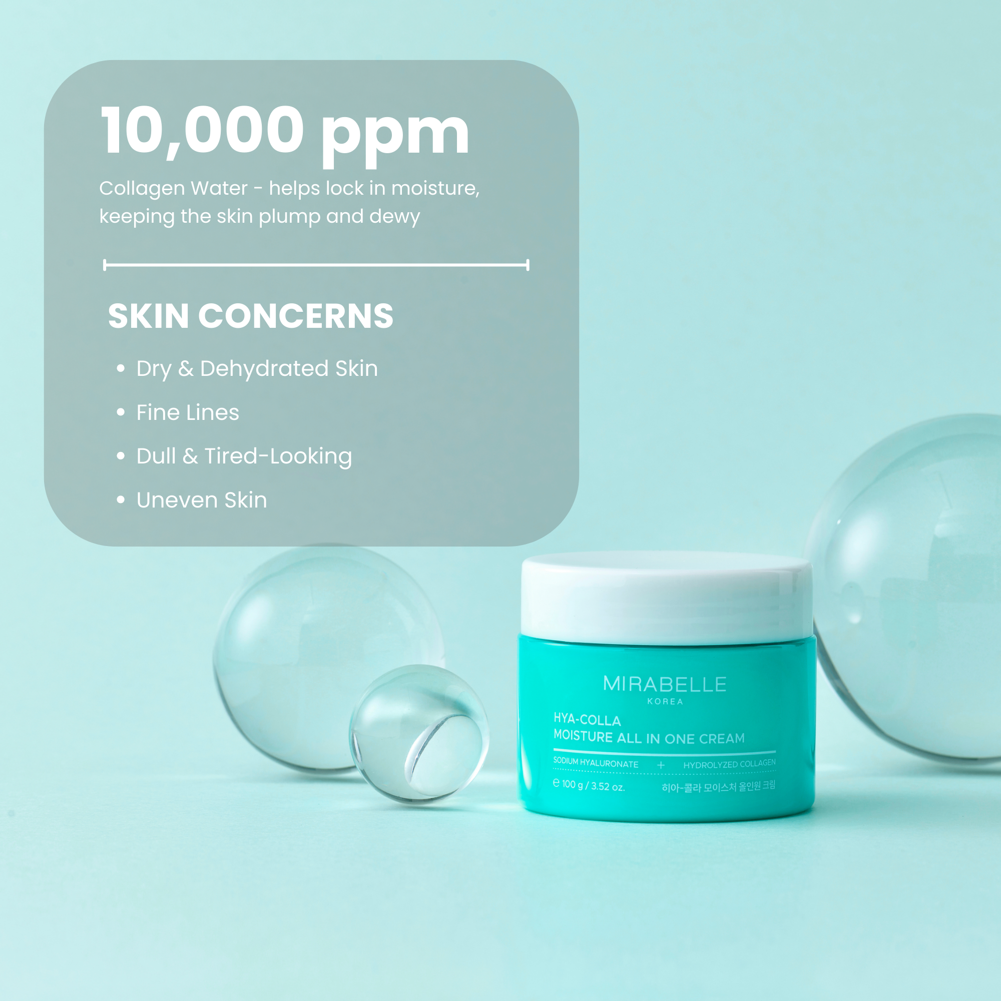 Hyaluronic + Collagen Moisture All in One Cream ( Day & Night )