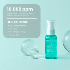 Hyaluronic + Collagen Moisture Serum